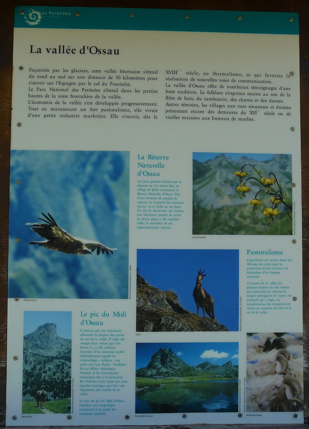 La Vallée d'Ossau - affiche de présentation