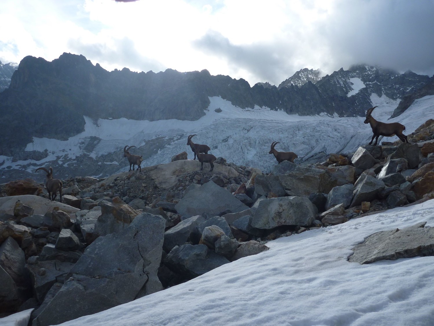 compagnons de bivouac