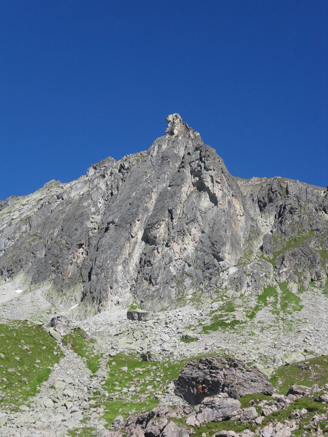 Tête de Lion