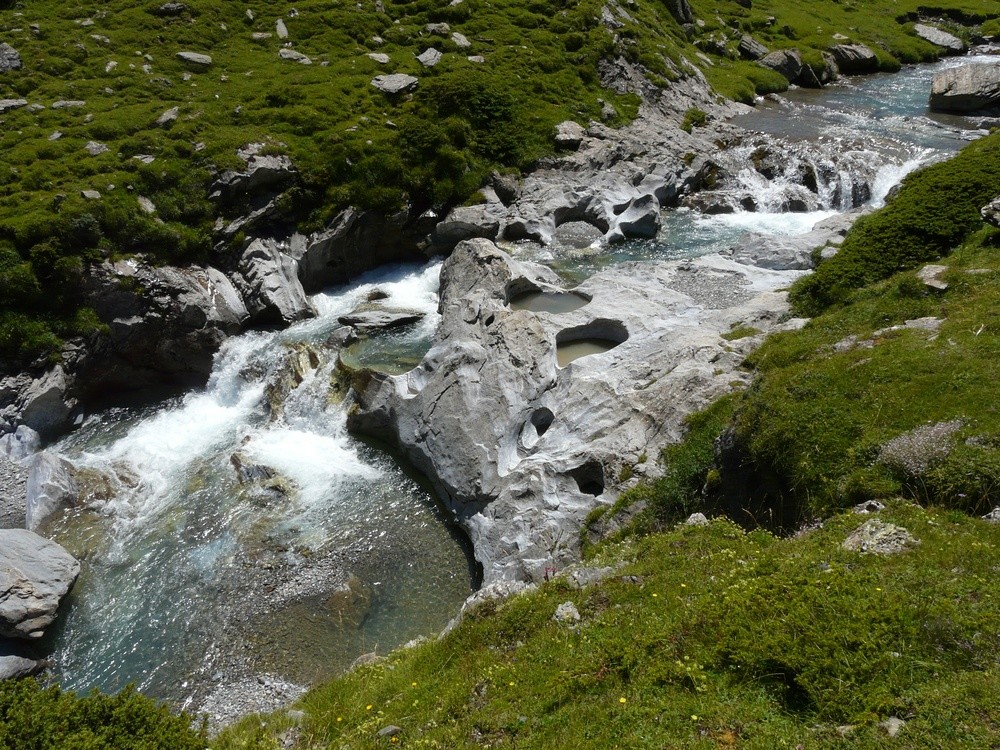 Sculptures au bord de la Gave d'Estaubé