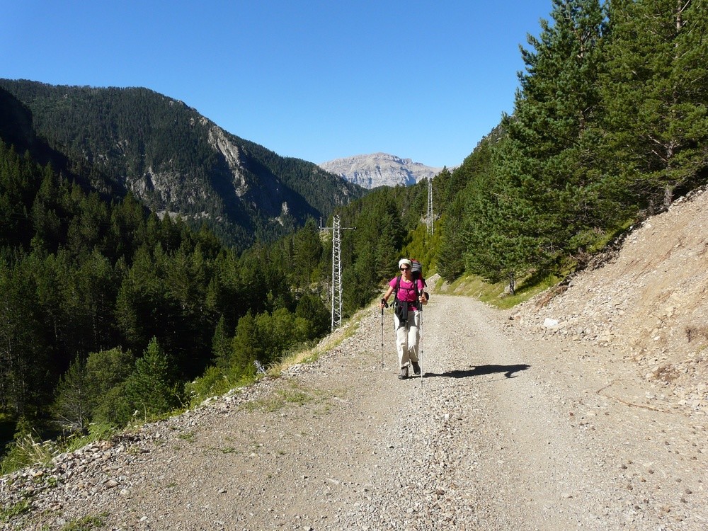 Sur la longue piste...