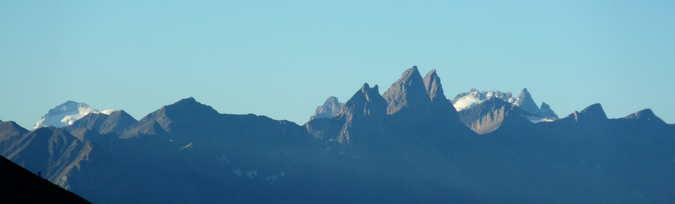 Rassemblement d'aiguilles, pics et félins divers, en prenant soin de tenir la barr(d)e à l'écart