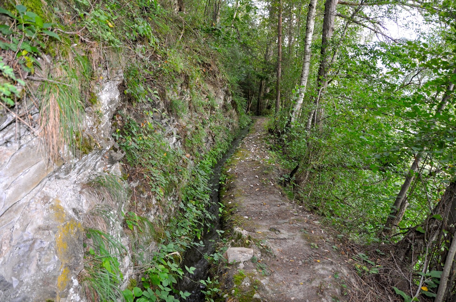 Riederu