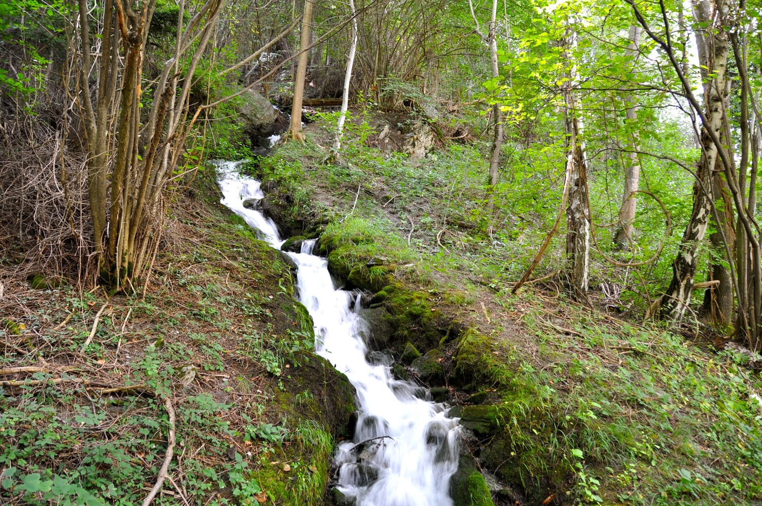 Riederu