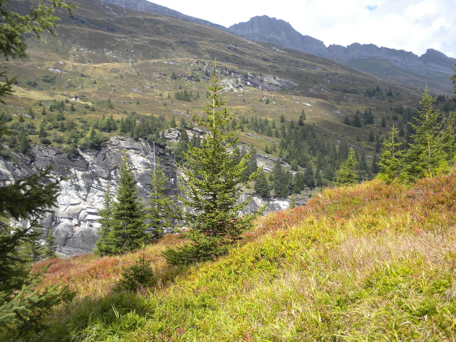 Les premières couleurs d'automne