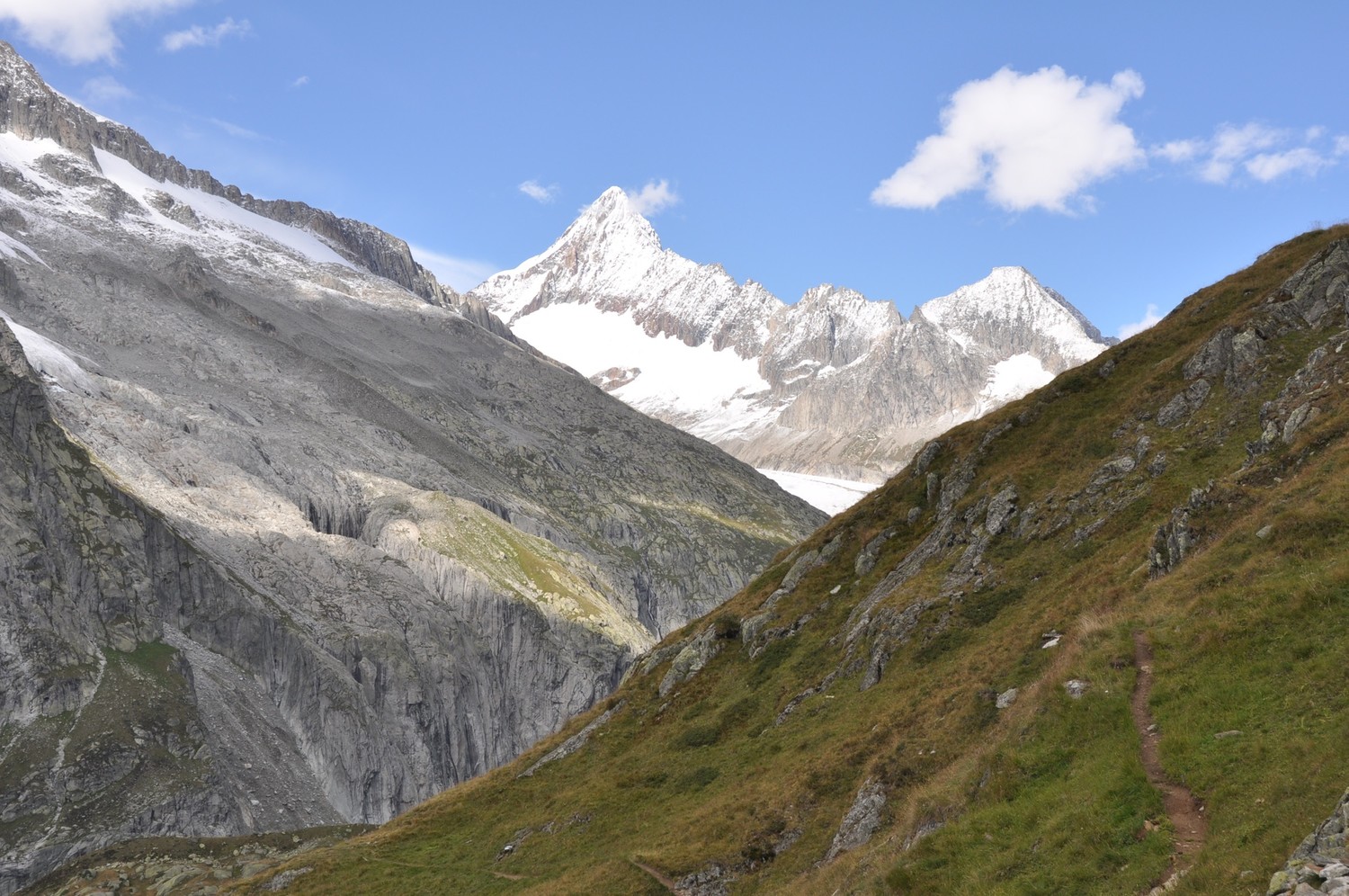 Finsteraarhorn