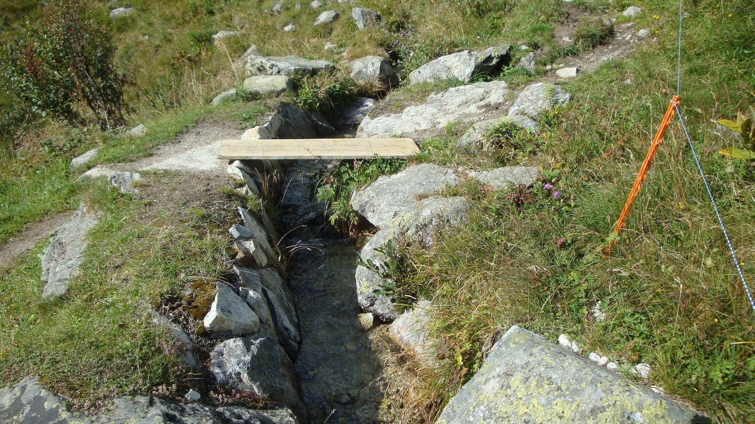 Bisse de Bellwalderi