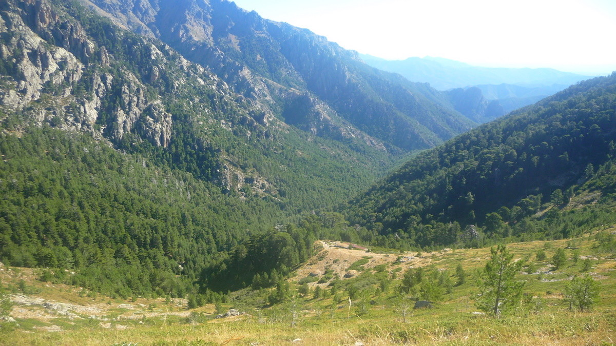Montée au dessus des bergeries de Gialghello
