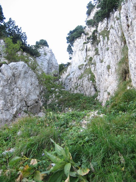 Cheminée de Lorzier
