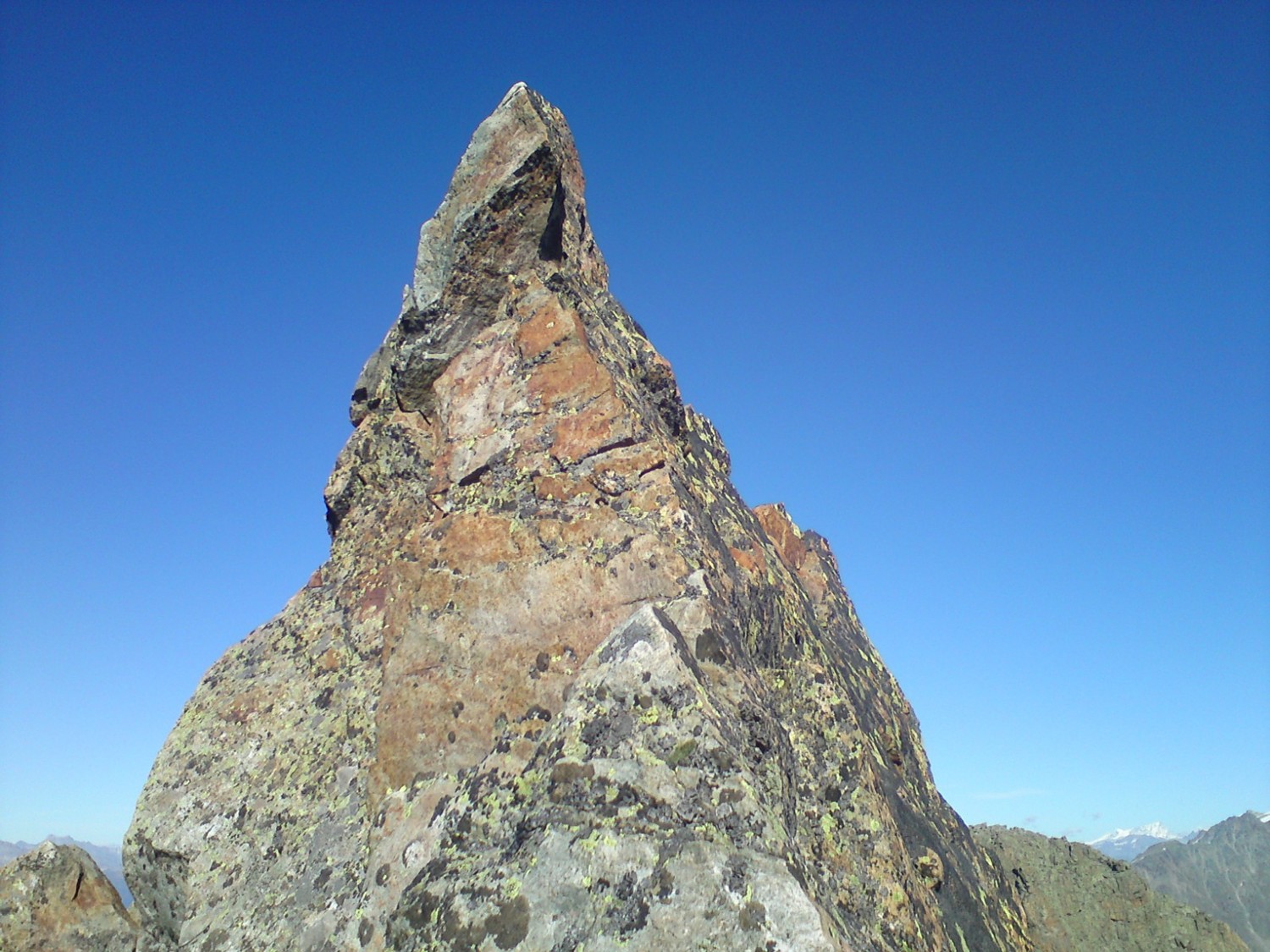 à non juste la corne du chamois