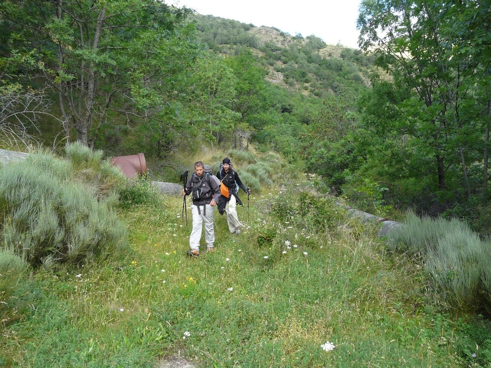 Sortie de la jungle au dessus d'Alós d'Isil