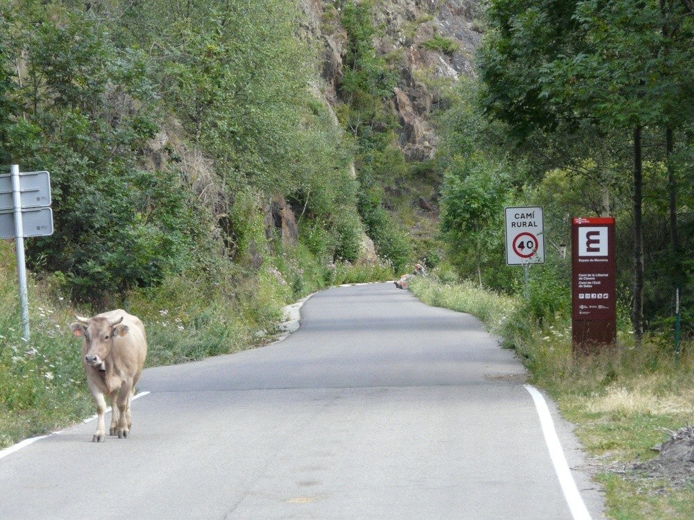 Sur la route le long de la Nogueira Pallaresa