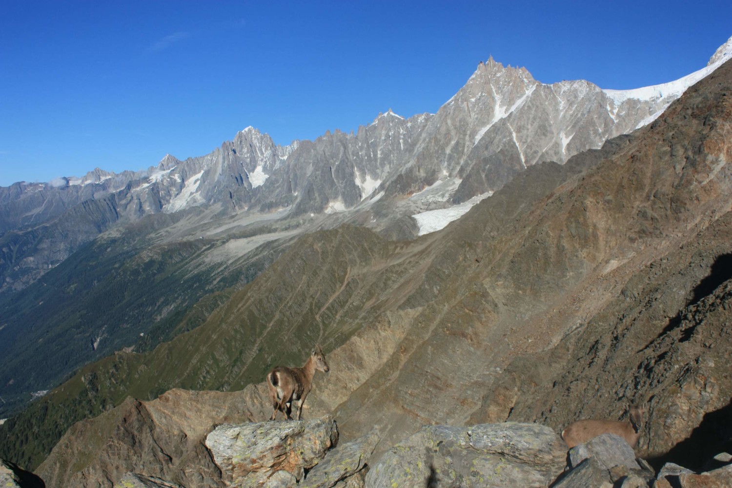 jolie rencontre avant le dérochoir - sentier des rognes
