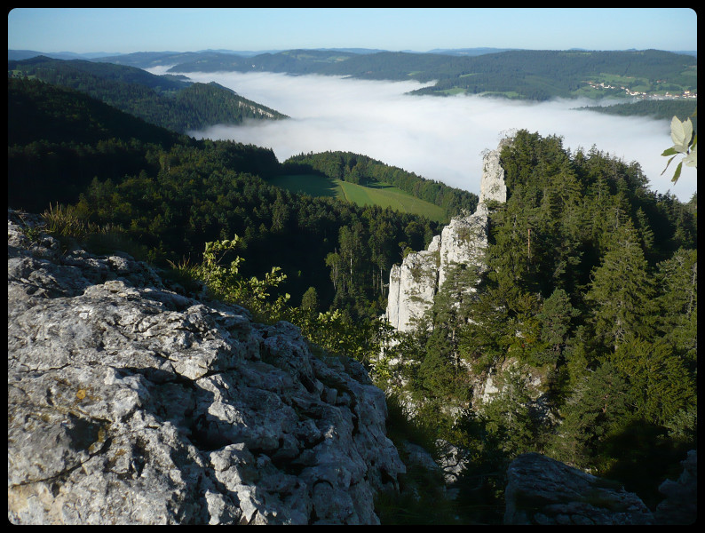 Caractéristique de l'arête: la verdure!