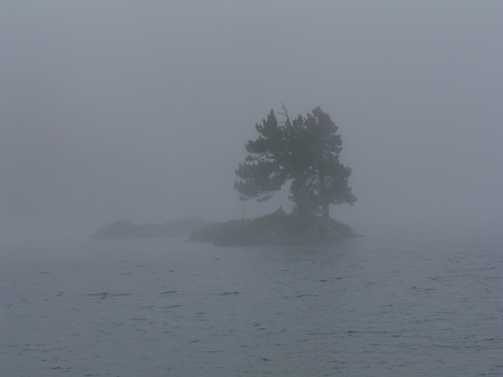Brouillard sur l'étang Romedo de Dalt