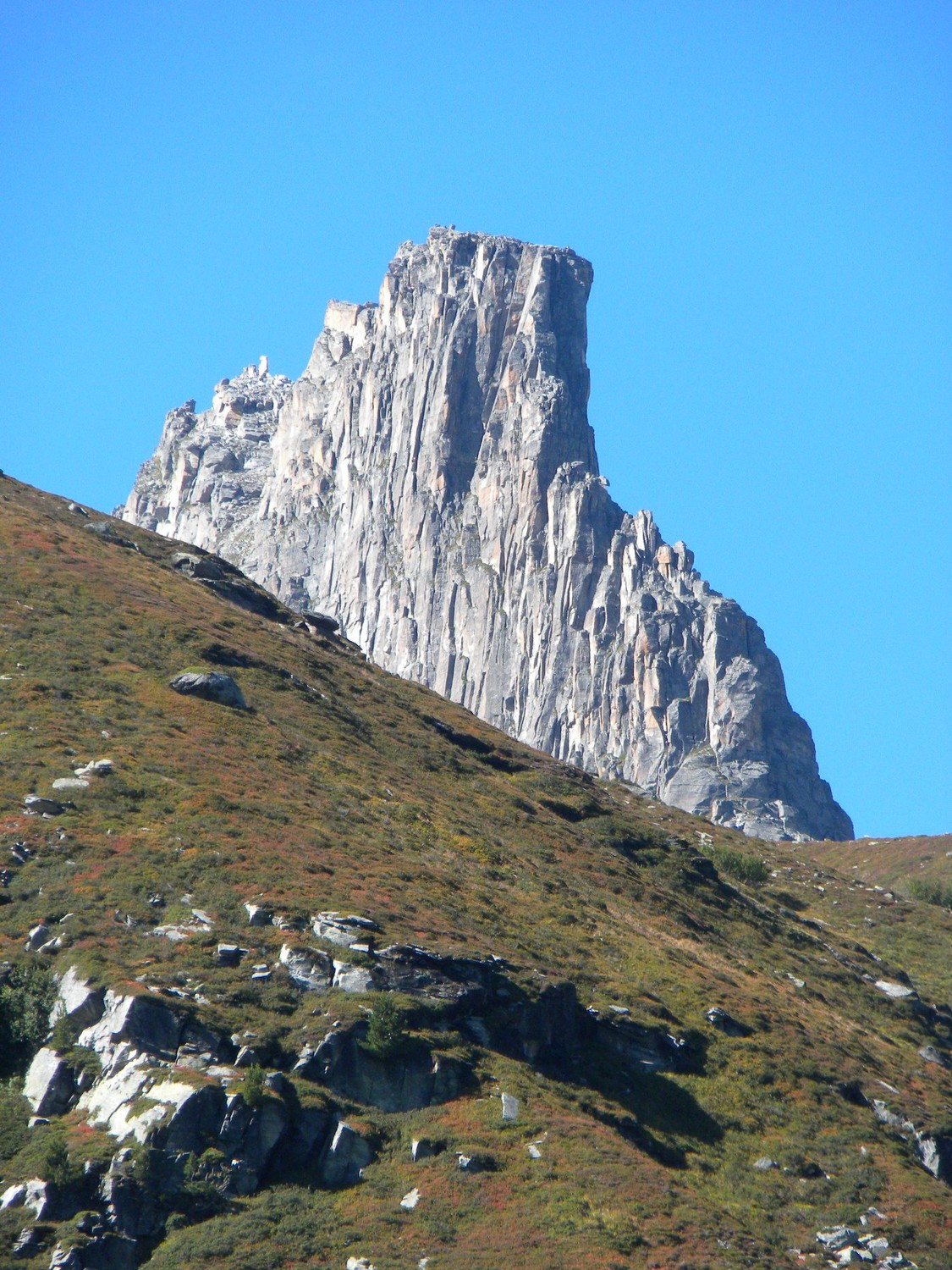 Vue sur le Zervreilahorn