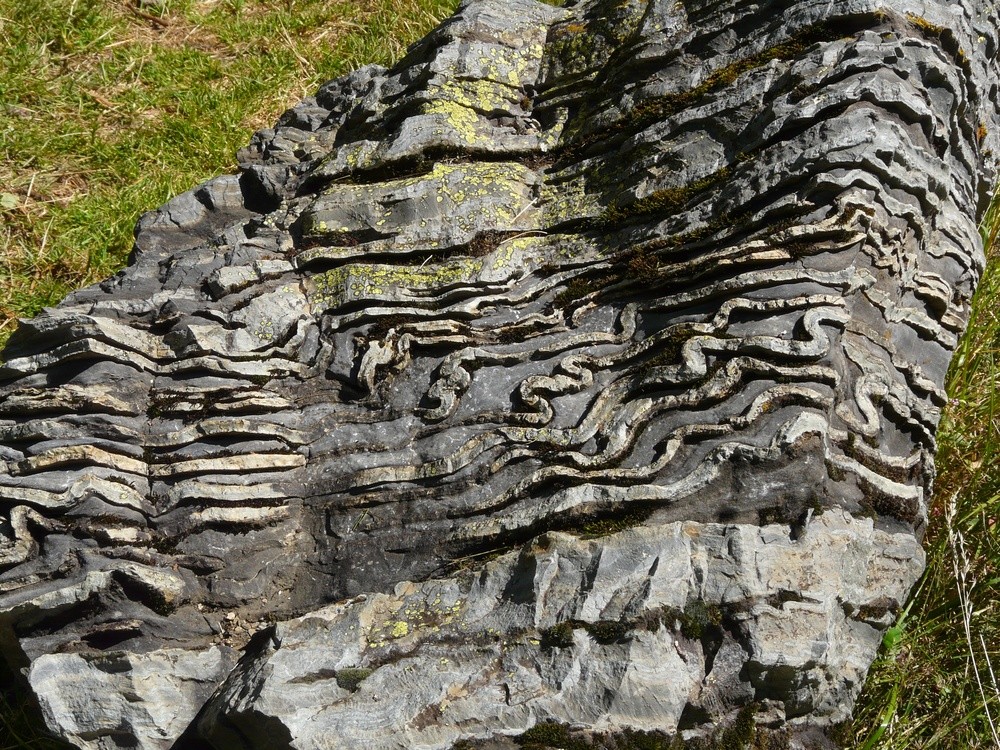 Labyrinthe