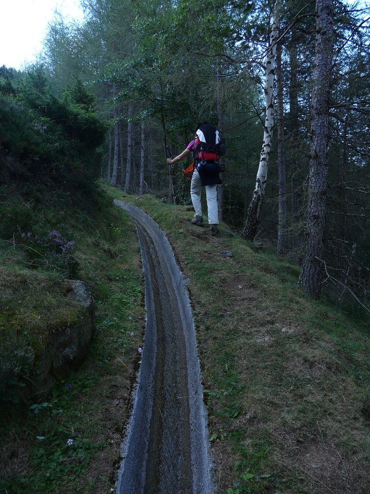 Dans la forêt au dessus de Mounicou