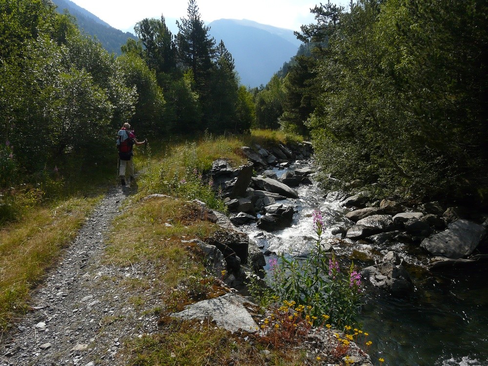 Le long du ruisseau de Tristaina