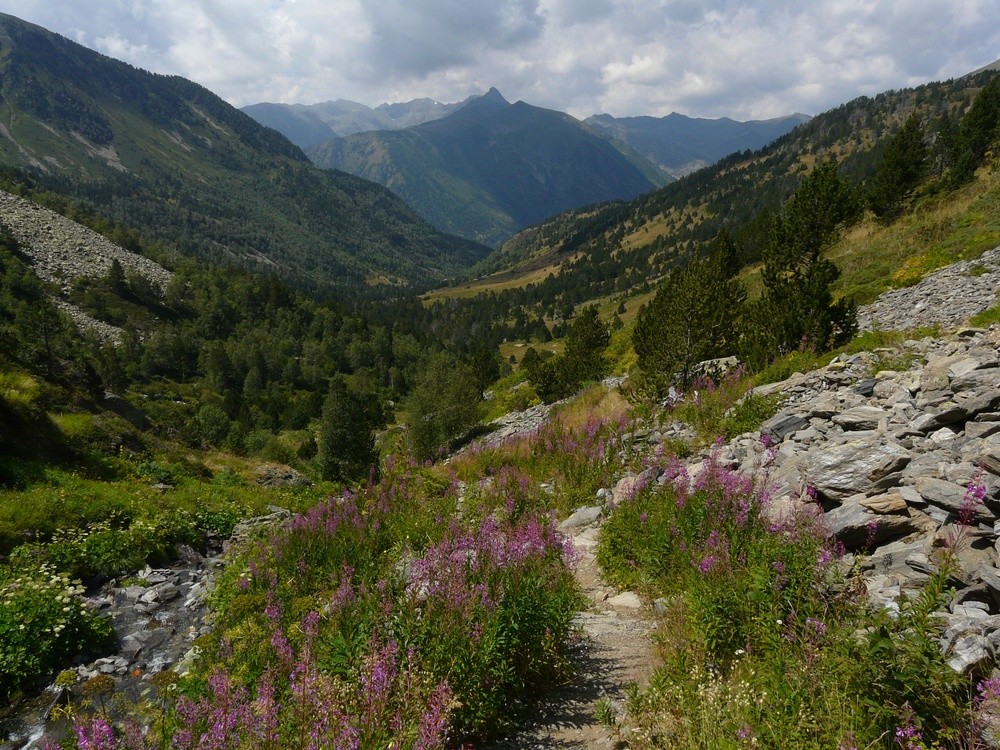 Vallée inférieure de Sorteny