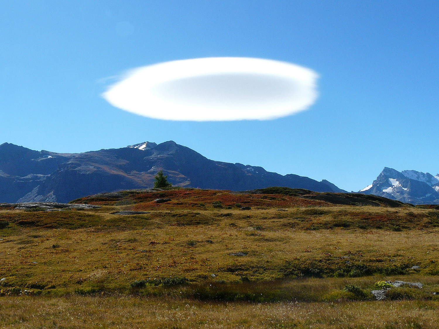 un beau lenticulaire