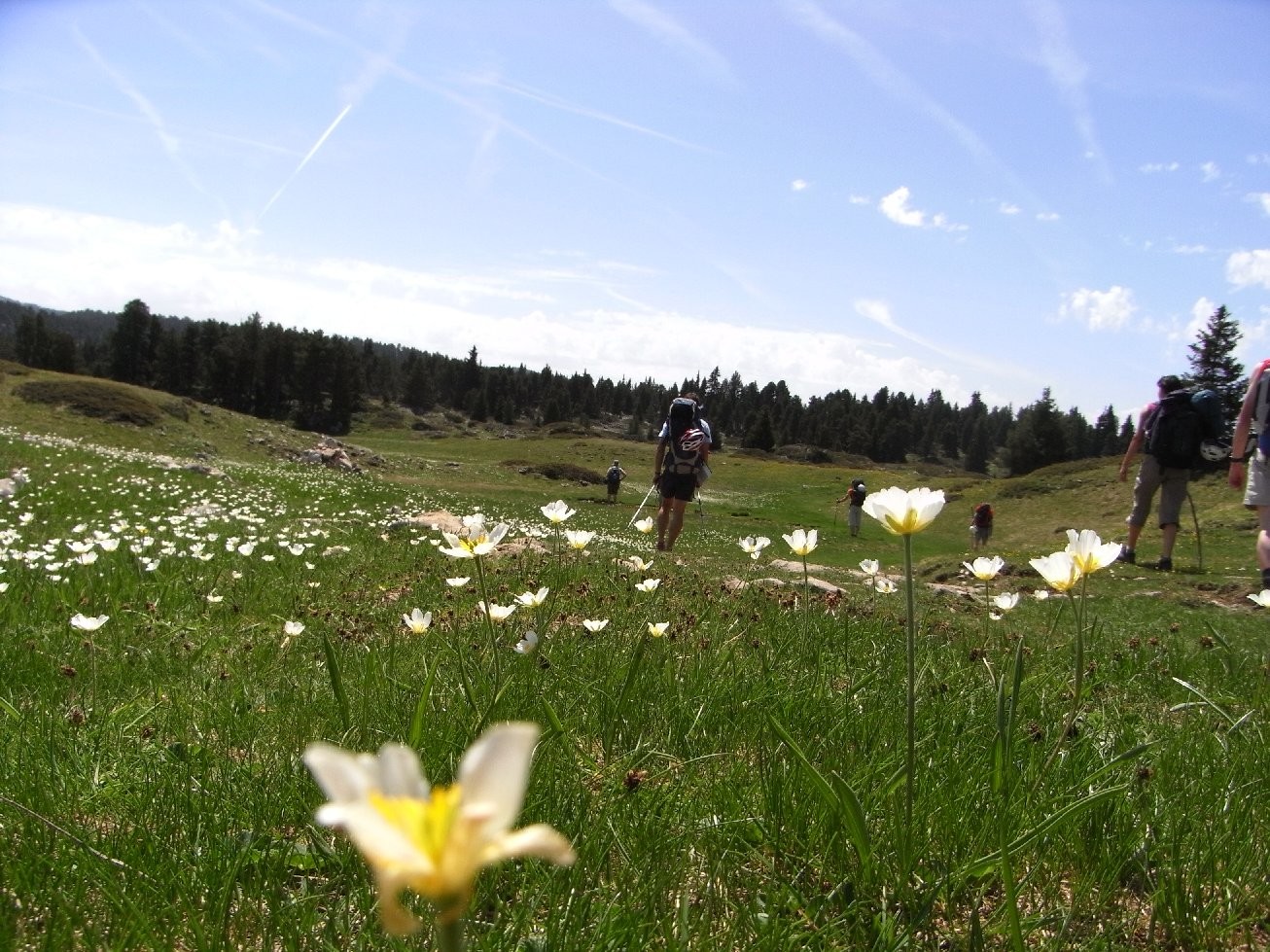 Plateau du Vercors