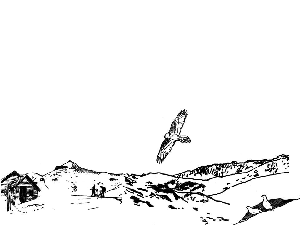 dessins autour du refuge de la Liesse