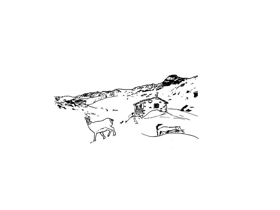 Liberté dans le Parc de la Vanoise