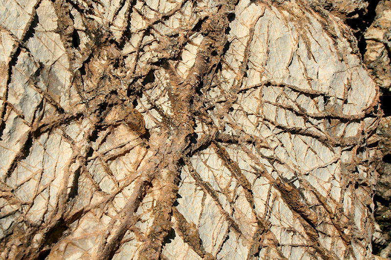 c'est quoi, ces "filaments rocheux"?