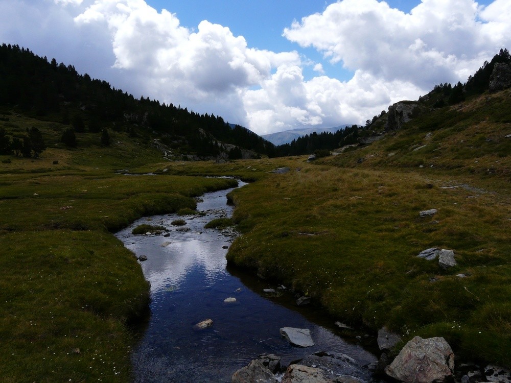 Rec de Querforc