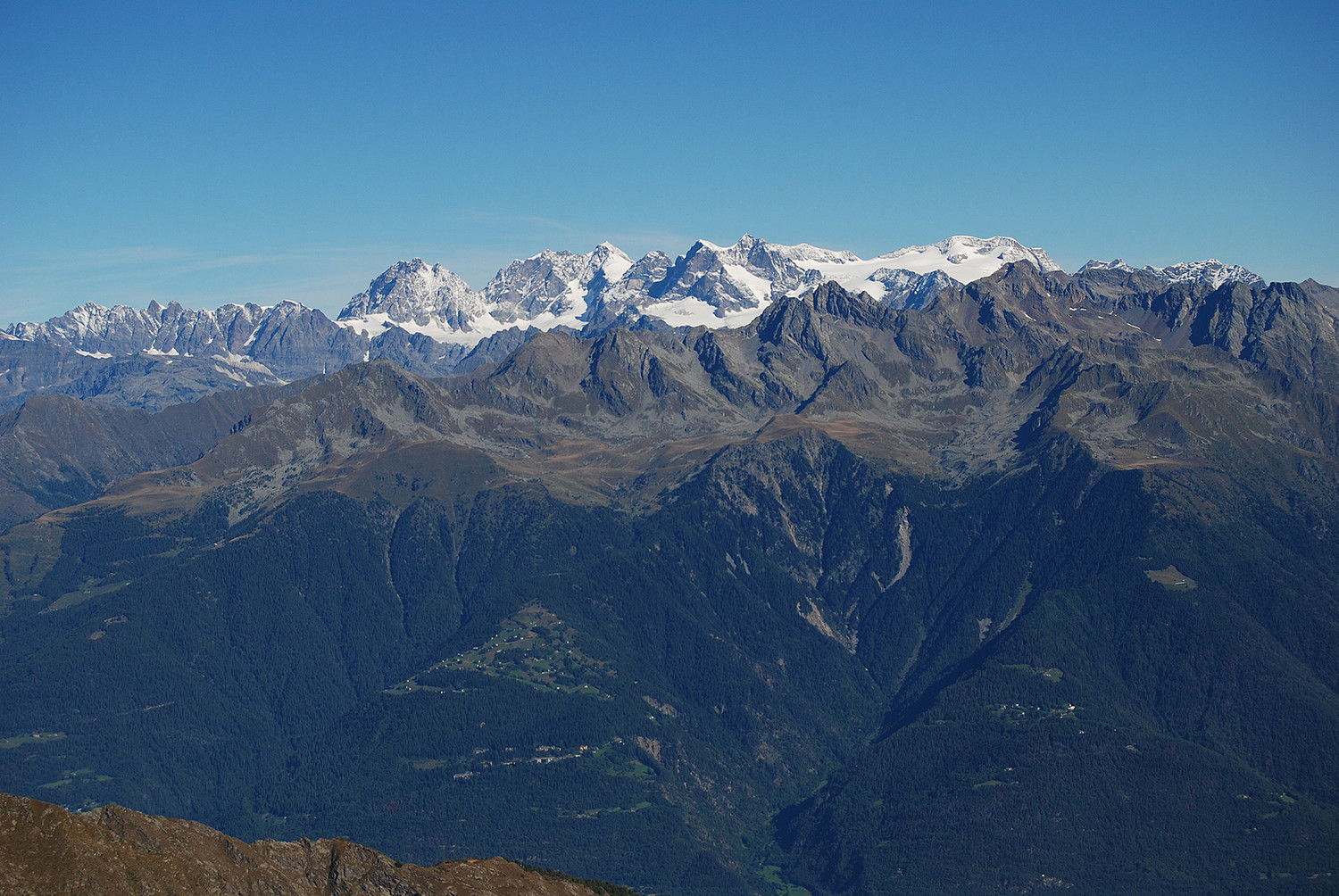 lL massiccio del Bernina visto dalla Motta della Pioda 2788 m.
