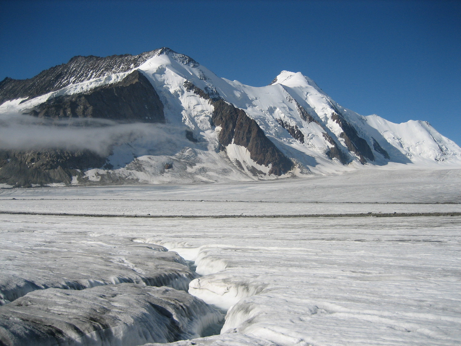 Dreieckhörn et Aletschhörn depuis Konkordiaplatz