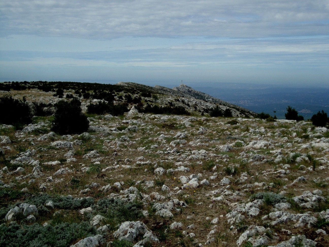 Ambiance paturage à moutons vers le sommet du Baou des Vespres : la croix de Provence est déjà loin.
