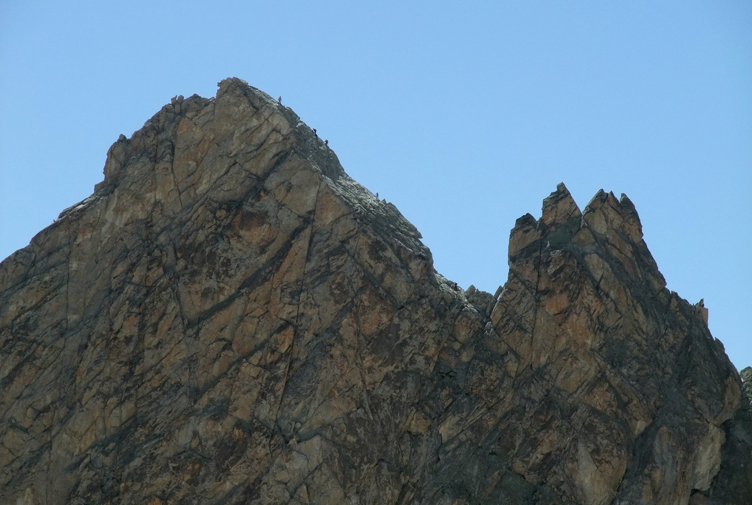 Poux sur la voie normale