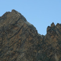 Poux sur la voie normale