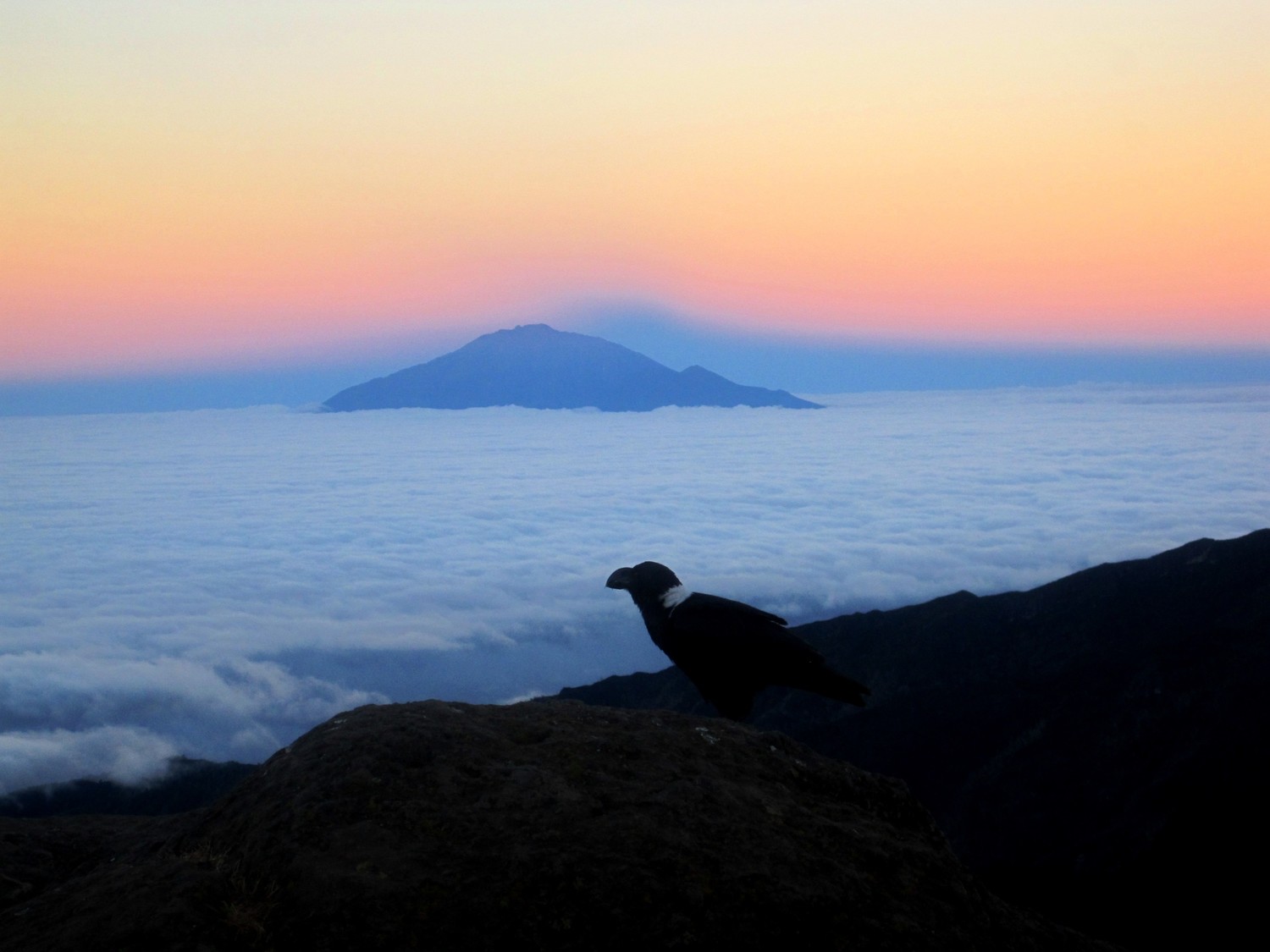 Mont Meru / Tanzanie