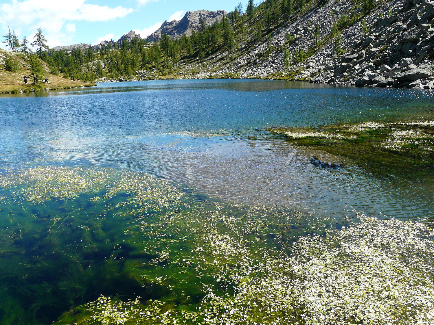 Lac Noir (parc du mont Avic)
