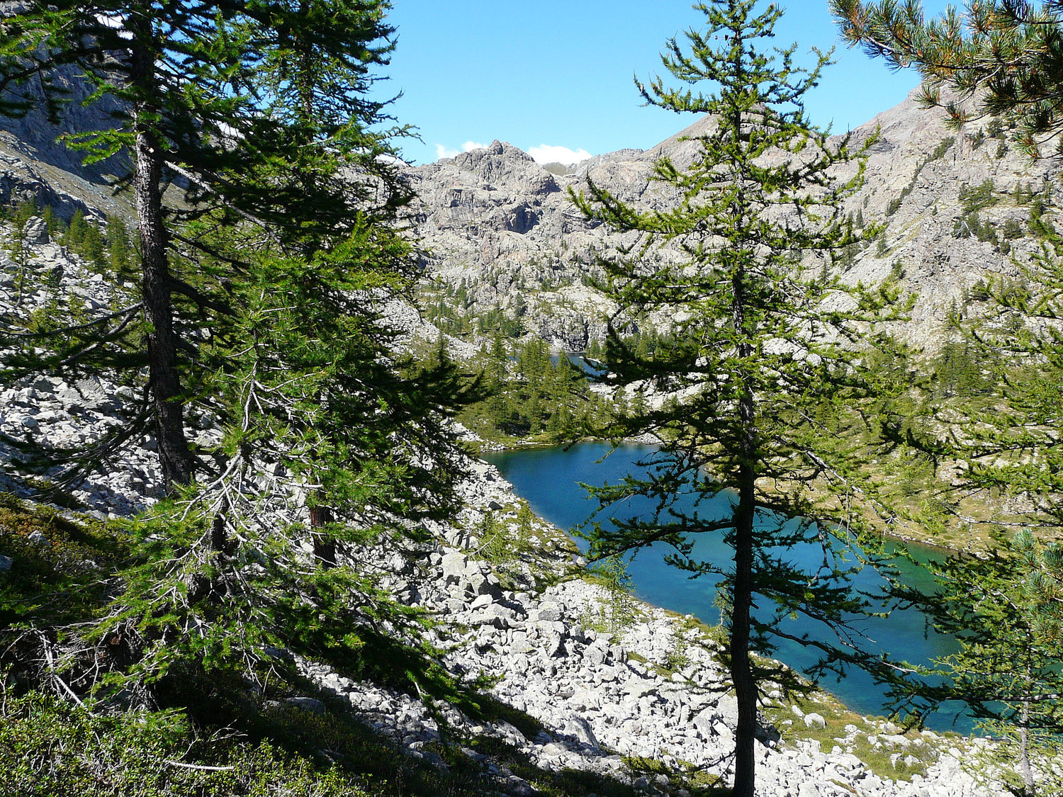Lac Noir (parc du Mont Avic)