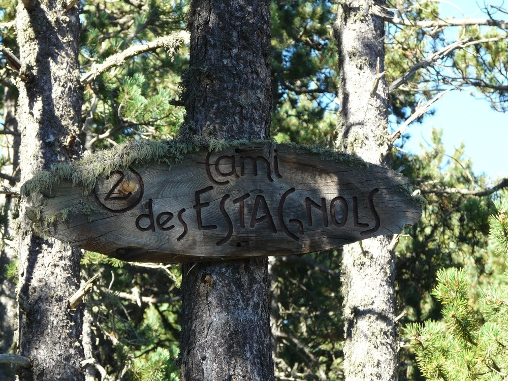 Baixada cap a Bolquera pel camí dels Estanyols