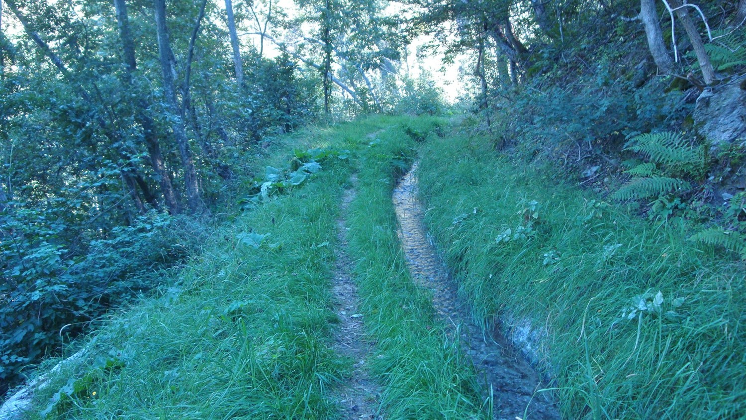 Bisse de Fätschi