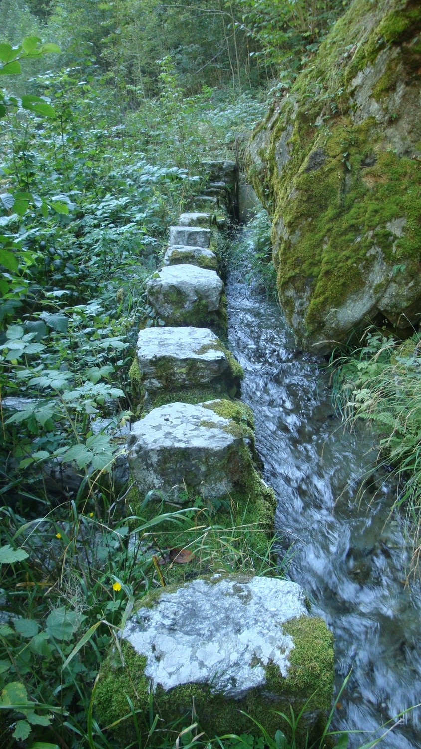 Bisse de Fätschi