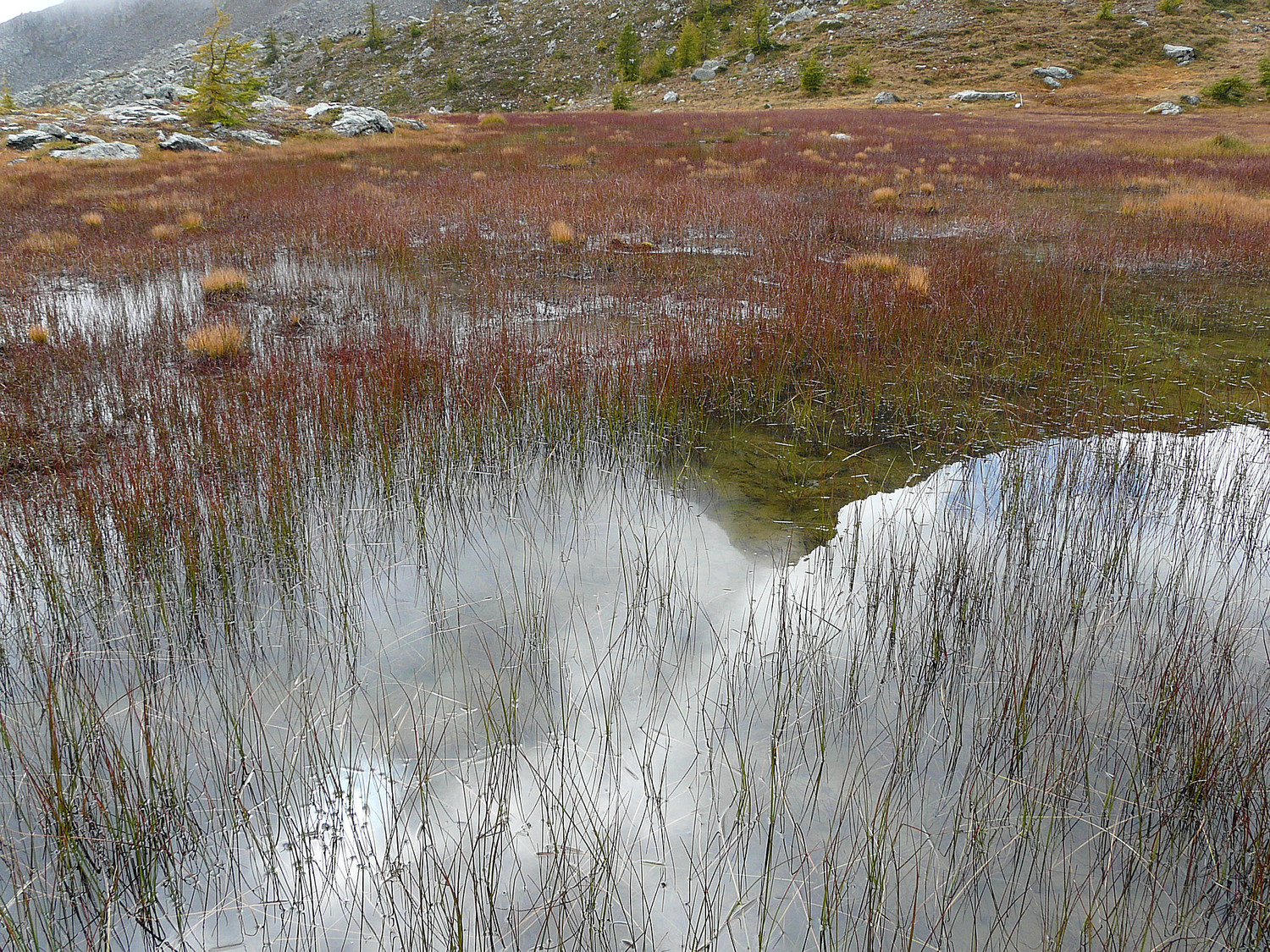 Des lacs mais aussi des tourbières dans un proche avenir