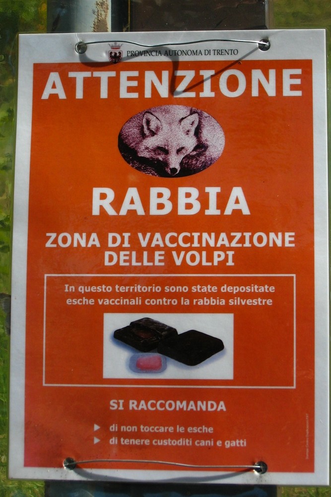 La rage est de retour dans le NE de l'Italie depuis la Slovénie,