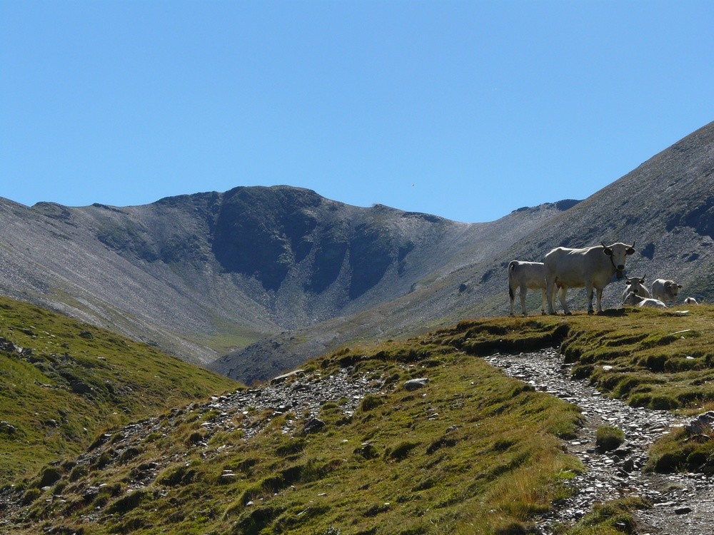 Pic d'Eina - Vessant W