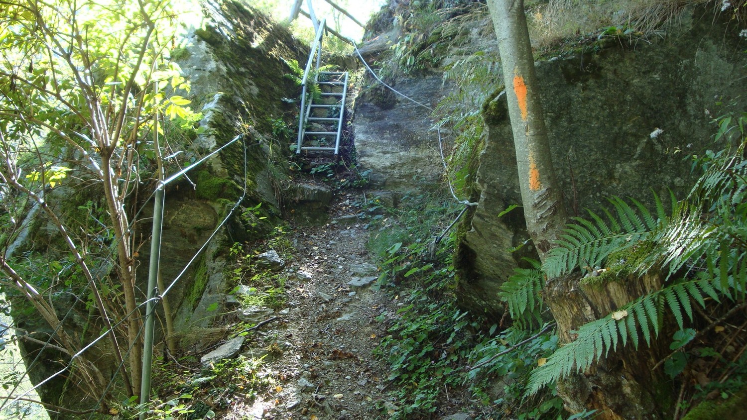Leiggeru