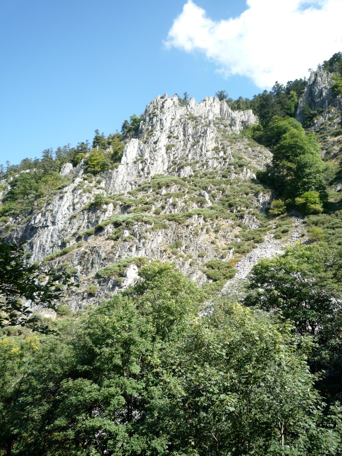 Vue d'ensemble de la voie