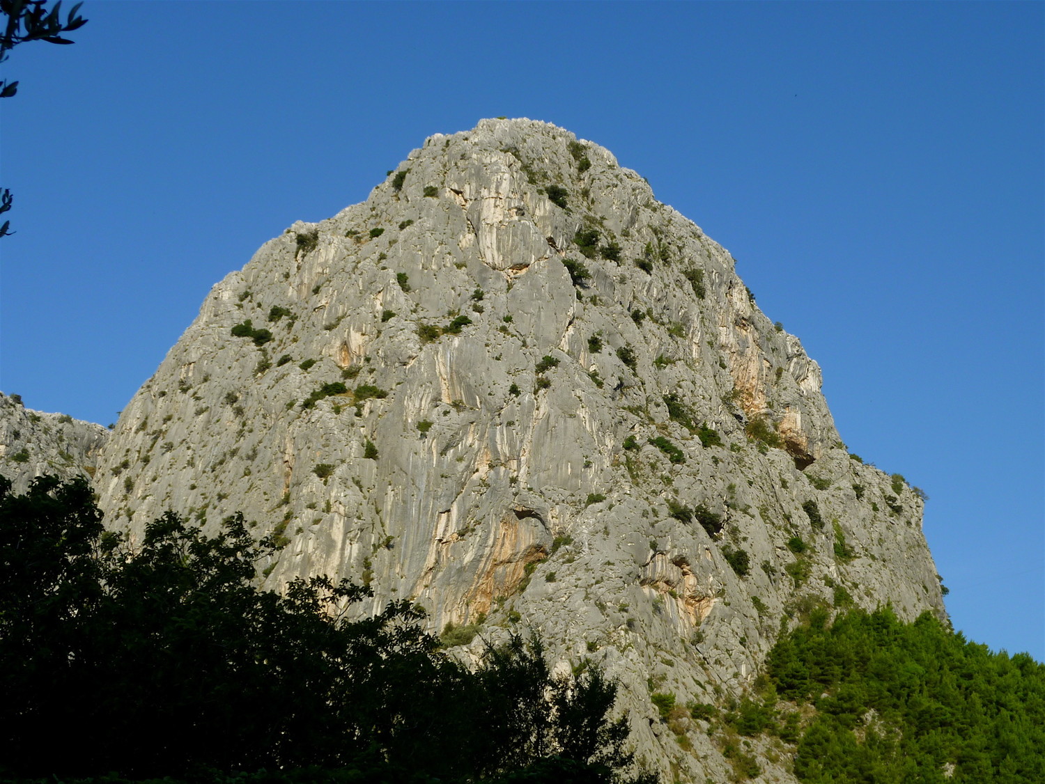 Babnjača