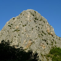 Babnjača