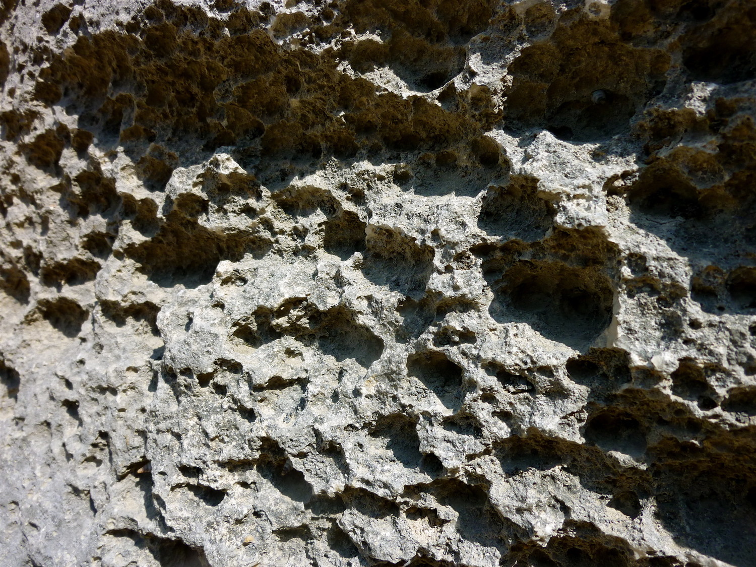 Le rocher à trous