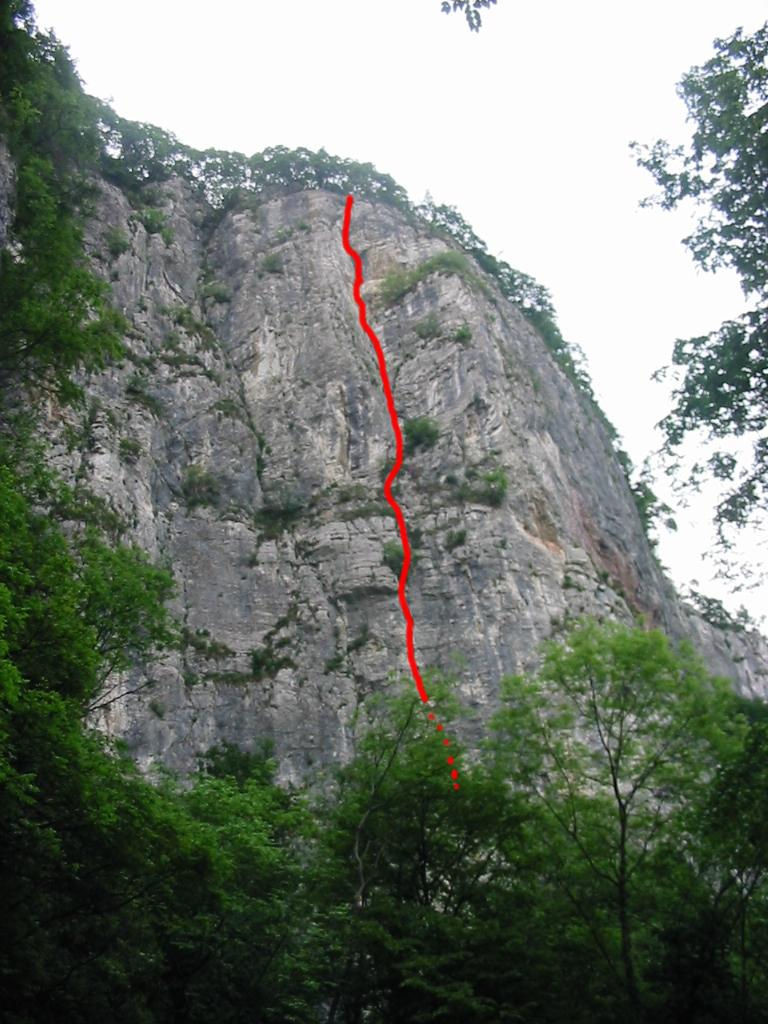 Diedro Scarabelli